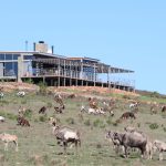 GRC - Commericial_2b